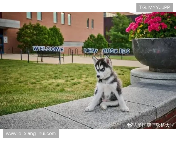 康涅狄格大学球员脚踩哈士奇PE球鞋引发媒体热议