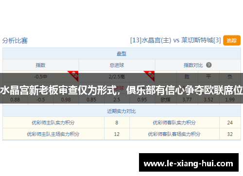 水晶宫新老板审查仅为形式，俱乐部有信心争夺欧联席位