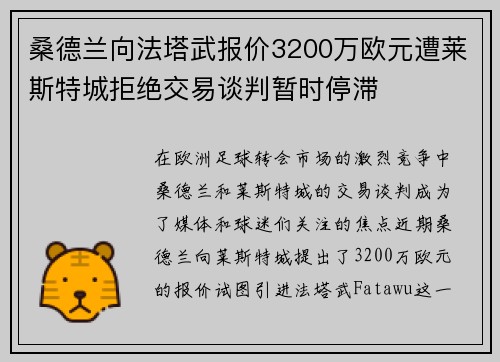 桑德兰向法塔武报价3200万欧元遭莱斯特城拒绝交易谈判暂时停滞